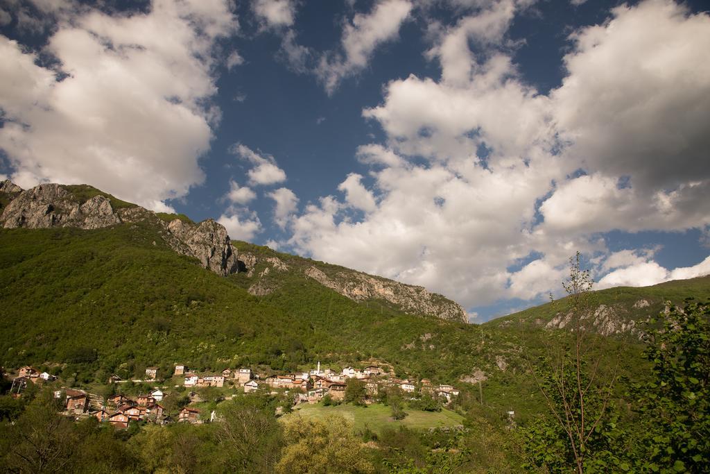 Radika View House Apartment Galicnik Cameră foto